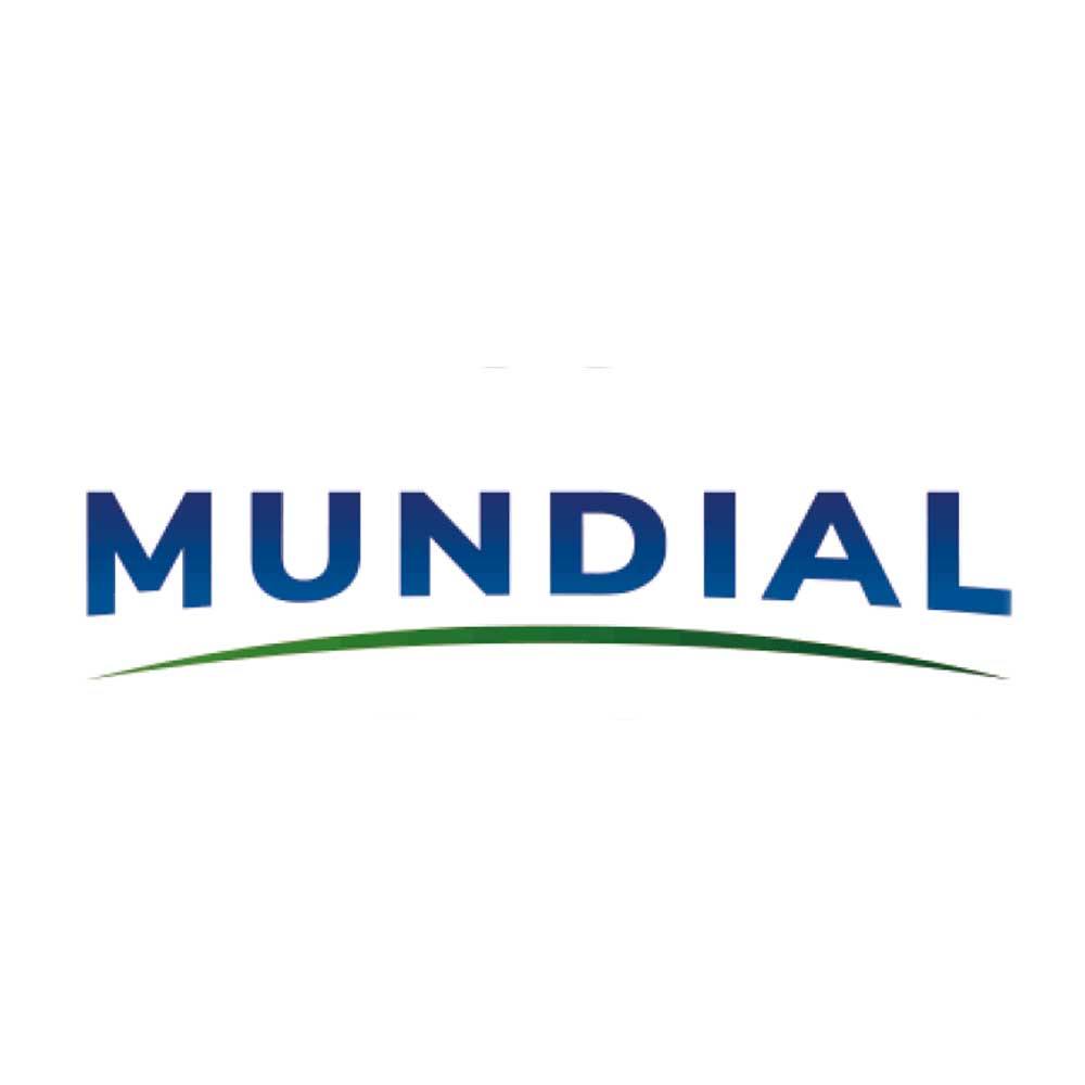 Mundial logo
