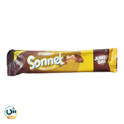 Candyland Sonnet Peanut Fudge Jumbo Bar