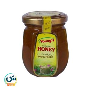 Young's Natural Honey
