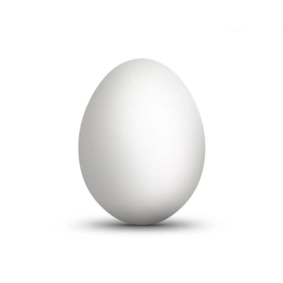 Egg