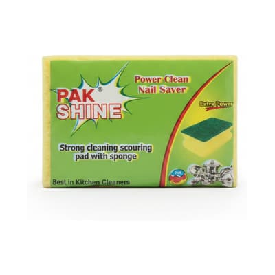 Pak Shine Washing Spunch