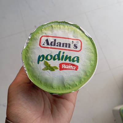 Adam's Pudina Raita