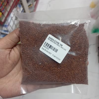 Rai Mustard Seed 100g ±2g